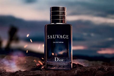 composition parfum sauvage dior|what does Dior Sauvage smell like.